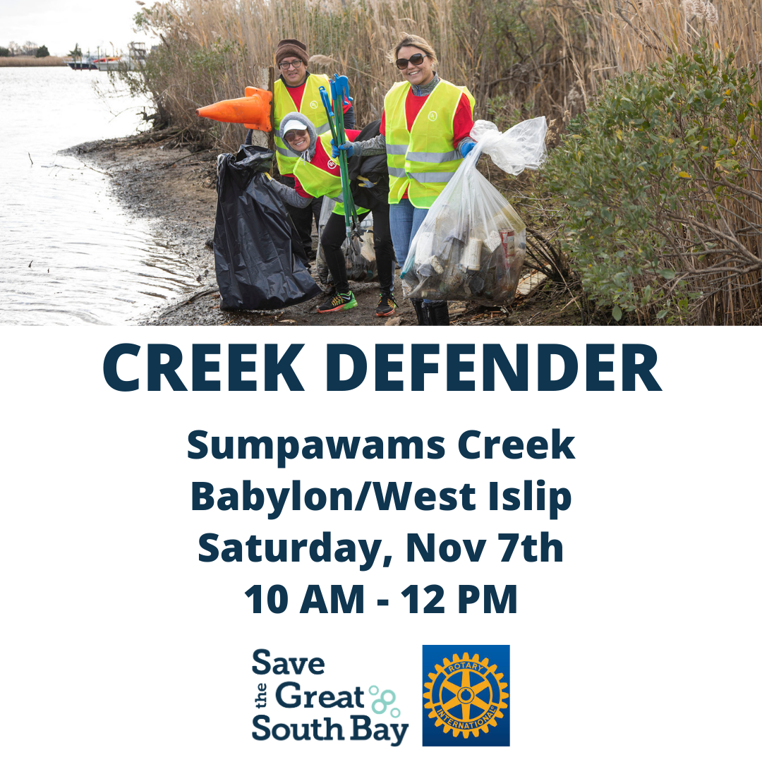 Babylon Rotary Clean Up