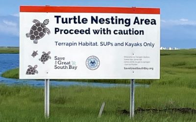 Jet Skis Can Damage Marshlands