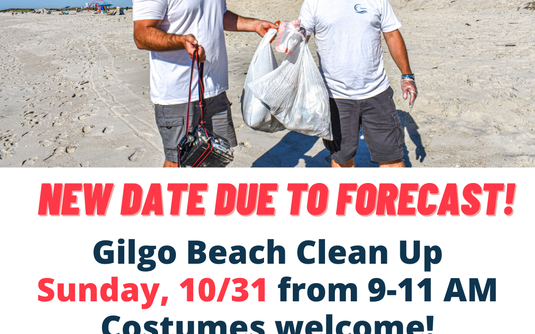Beach Clean Up @ Gilgo Beach