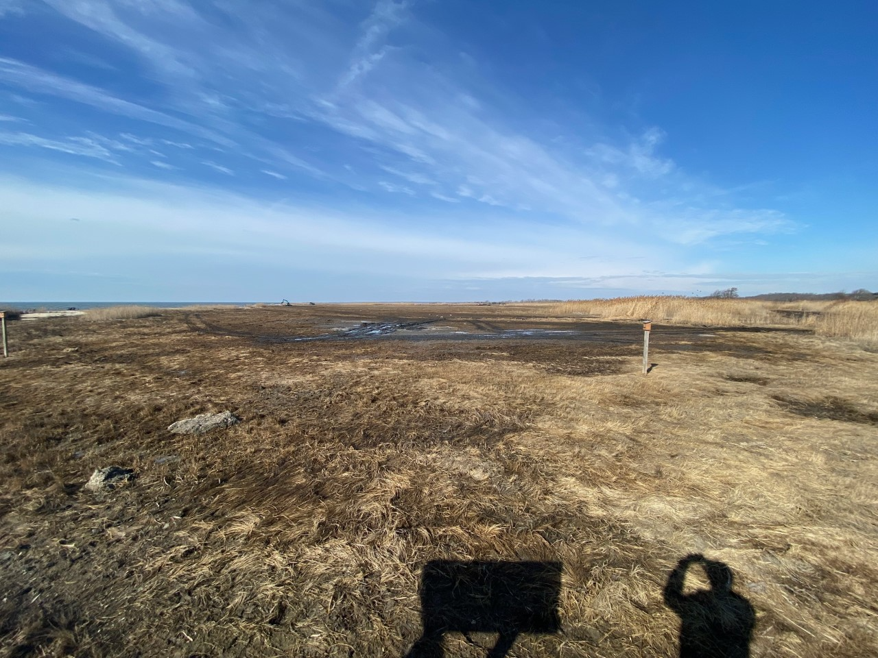 West Sayville Wetland Restoration Save The Great South Bay