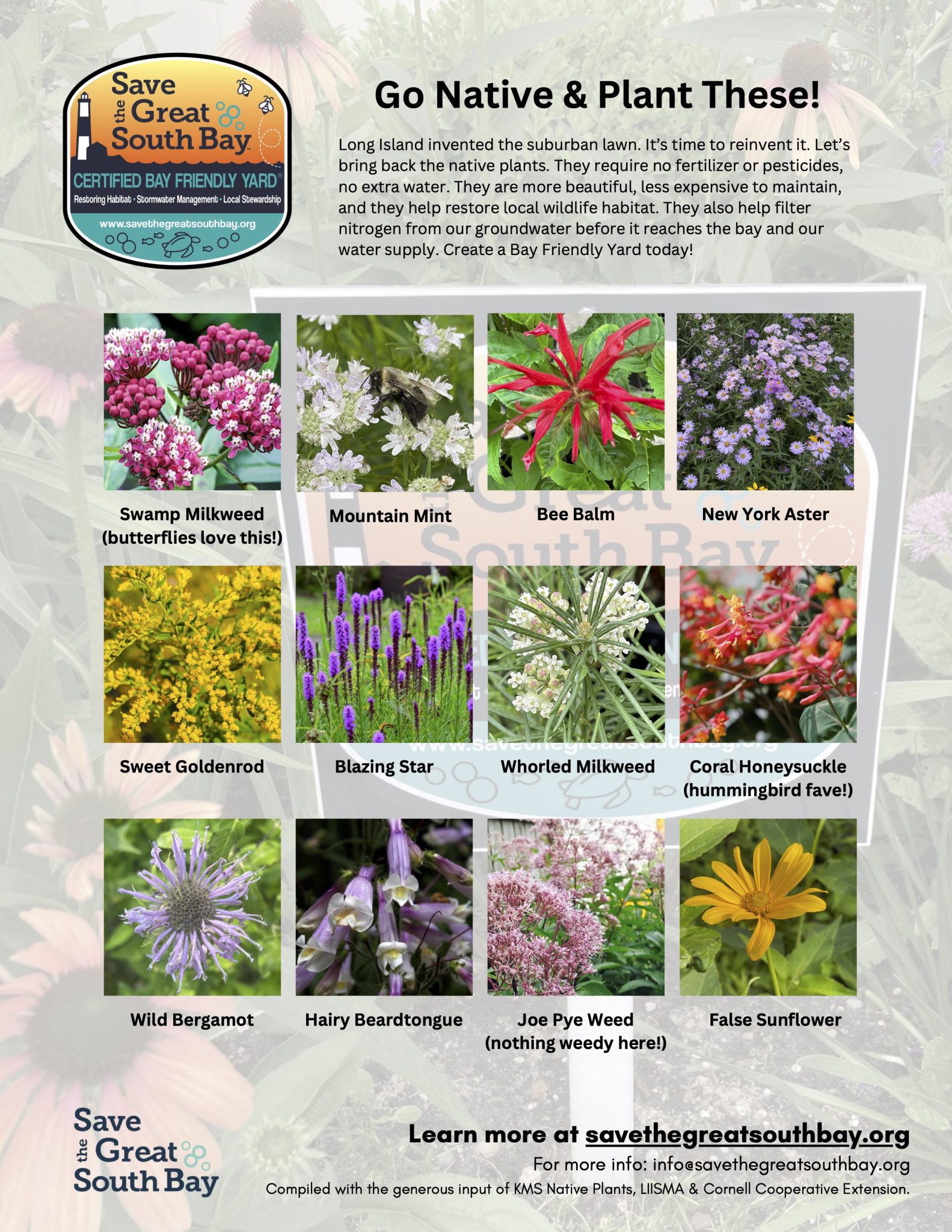 Bay Friendly Yard BFY Native Plant 2 Flyer
