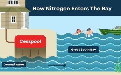 Fixing the Flow: How Sewers and I/A Systems Are Protecting Long Island’s South Shore