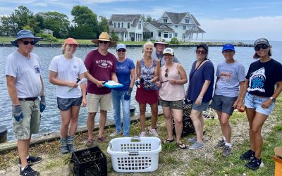 Learn About Our Oyster Gardens: Volunteer Written Summary